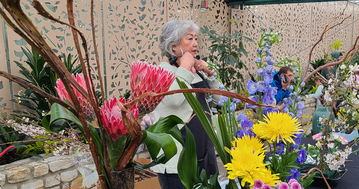 Cherry Blossom Festival is coming to Philly as peak bloom approaches