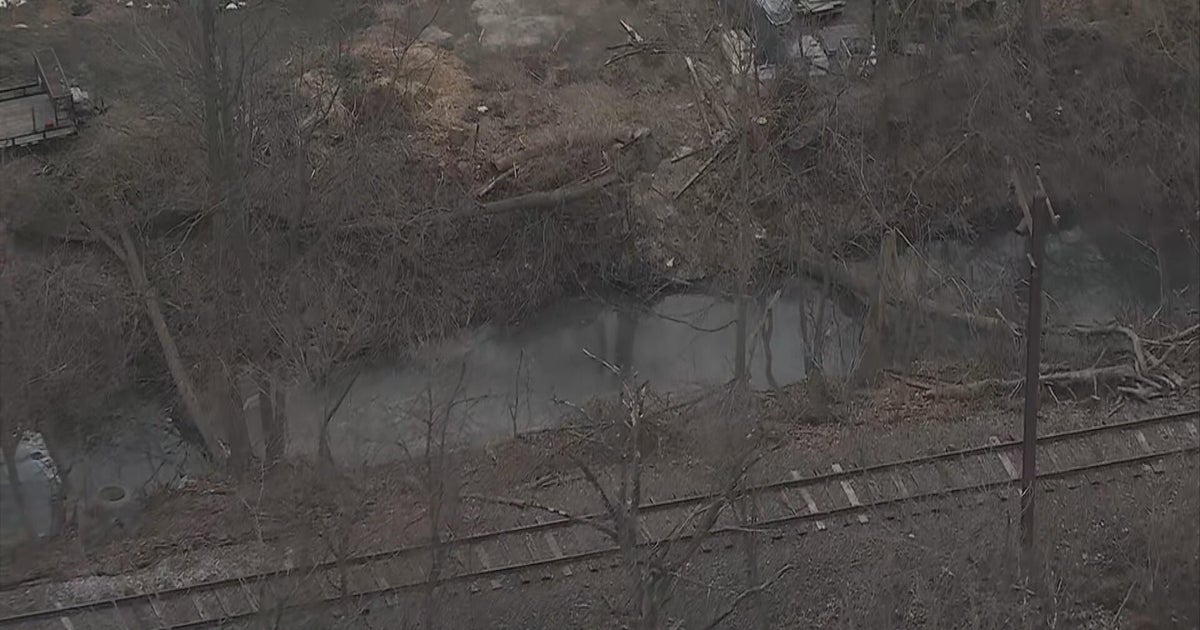 Milky substance that leaked into Goose Creek in West Chester under investigation, officials say