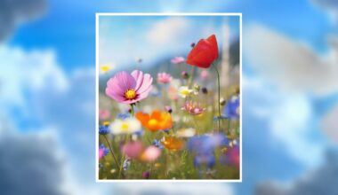 Frances M. Lamb Obituary March 3, 2026