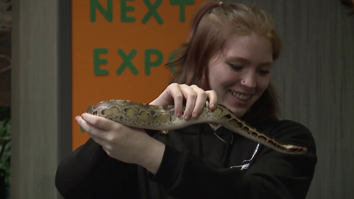 Folks slither to reptile expo in Scranton