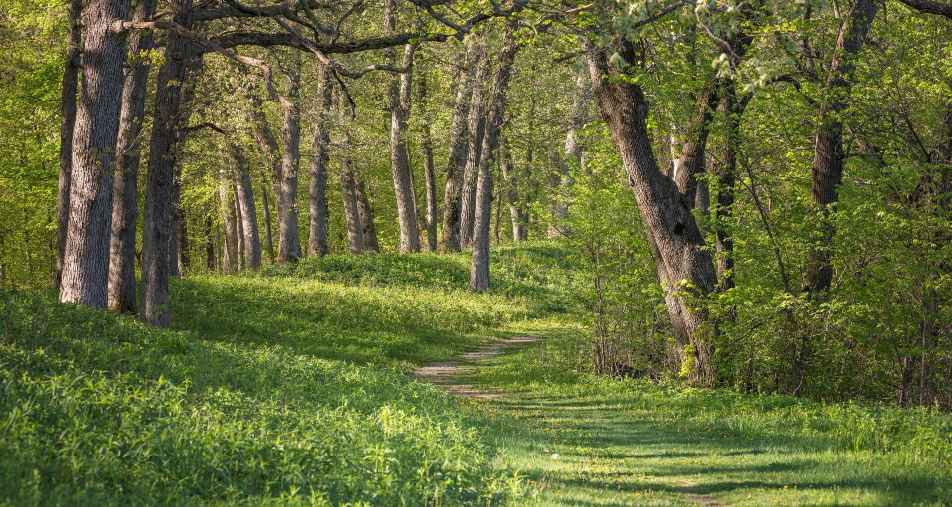 March 2026 in the Parks