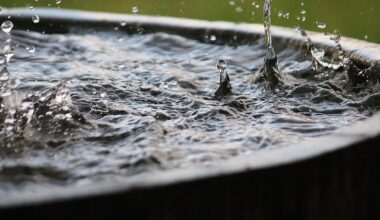 Rain barrels and compost bins offered to Erie County homeowners