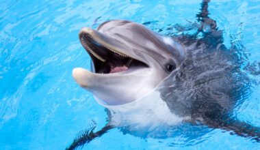 Major New Aquatic Attraction Proposed For PA