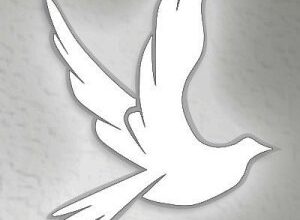 Obituary for Jean Delores Delong