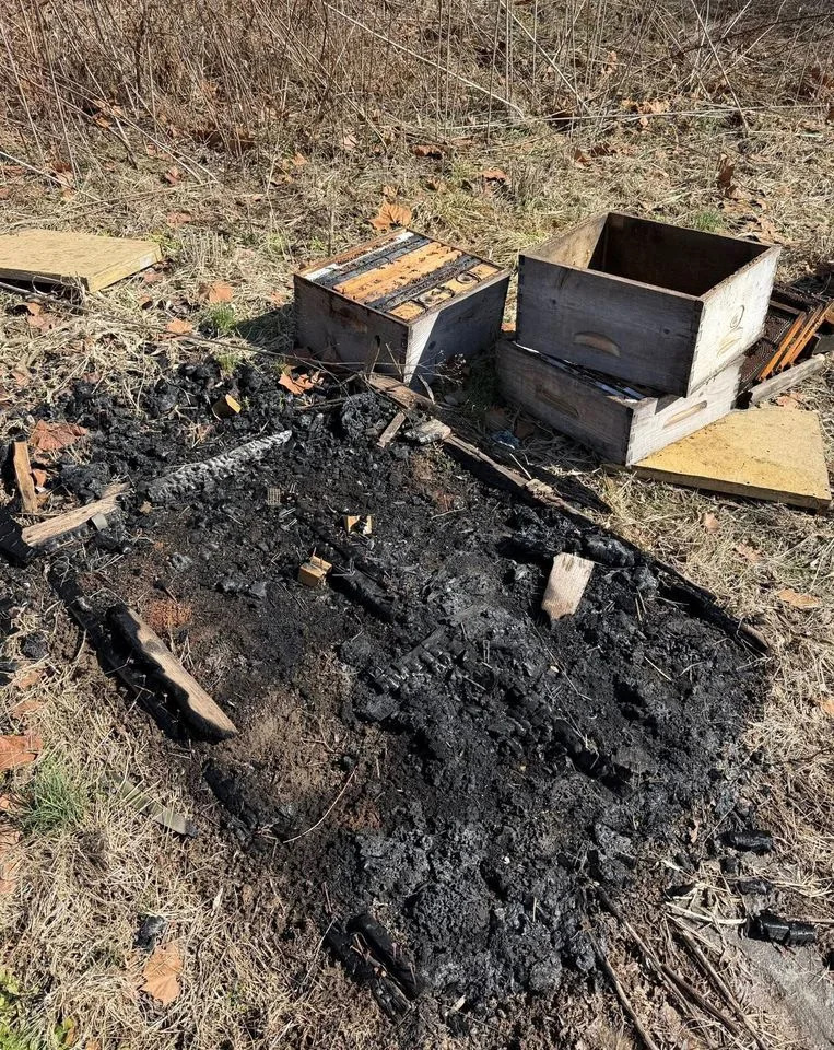 Bedillion Honey Farm in Industry, Pa., shared images of destroyed bee hivesCredit: Bedillion Honey Farm
