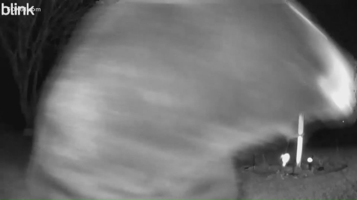 Black bear caught on camera at Bethlehem home, sparking wildlife reminder