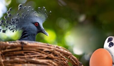 16 fun things to do in April for Pittsburgh-area families