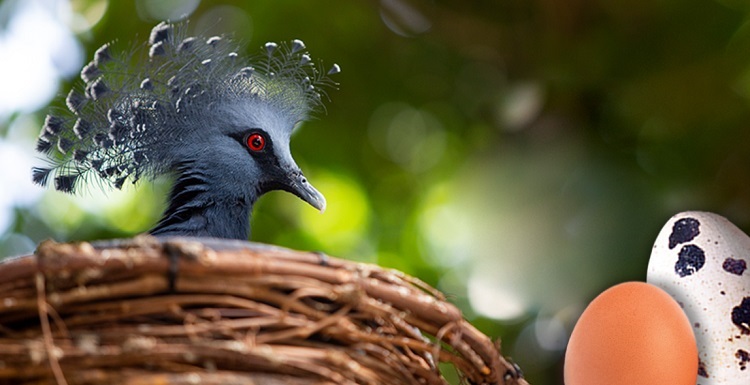 16 fun things to do in April for Pittsburgh-area families