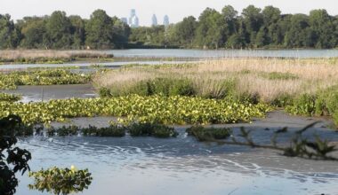Eastwick levee: U.S. Army Corps scales down proposal