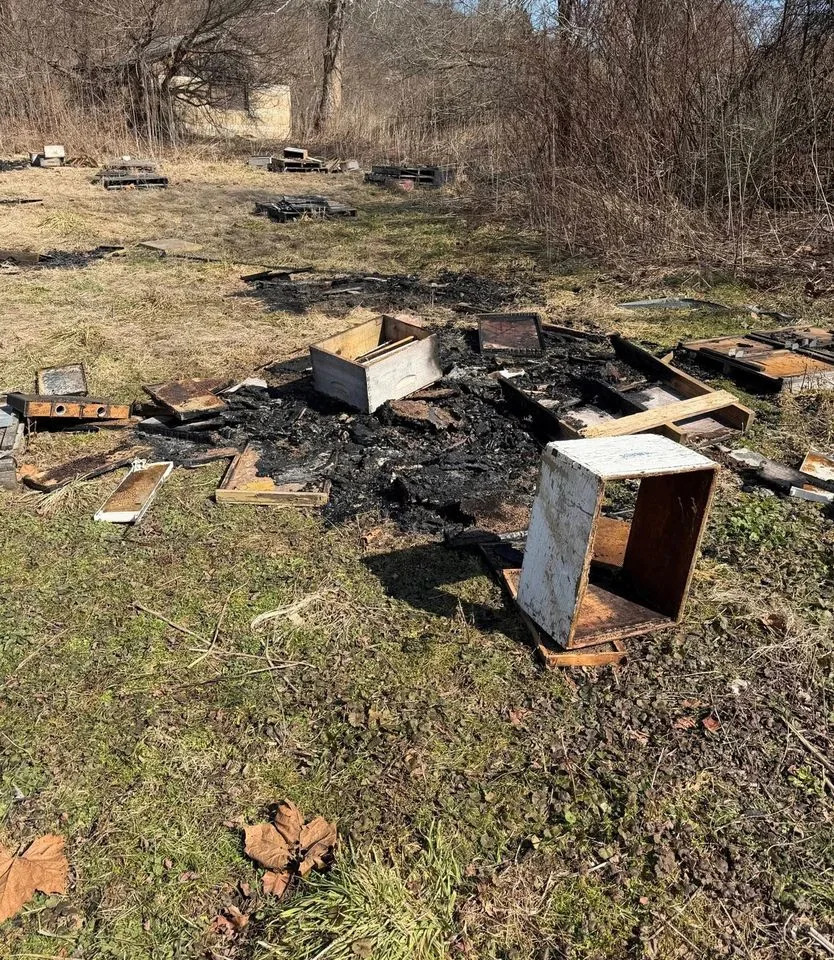 Bedillion Honey Farm in Idustry, Pa., shared images of destroyed bee hivesCredit: Bedillion Honey Farm