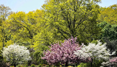 Did spring start in Philly? What to expect in Philadelphia forecast