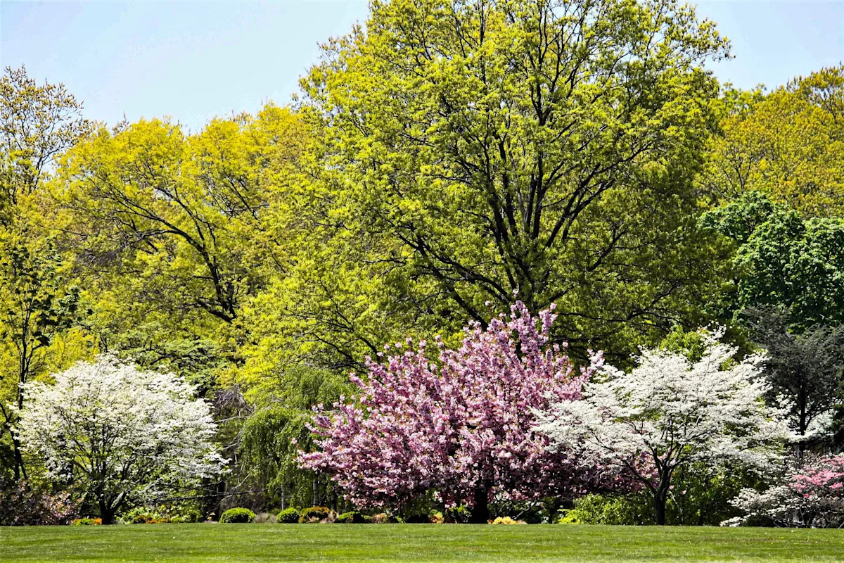 Did spring start in Philly? What to expect in Philadelphia forecast