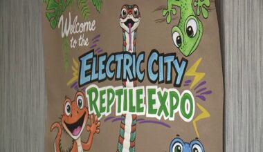 Reptile enthusiasts slither to Scranton for 10th annual Electric City Reptile Expo