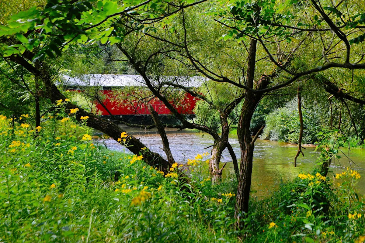 Yahoo lifestyle home