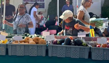 Lansdowne Farmers Market returns for its 19th season in May