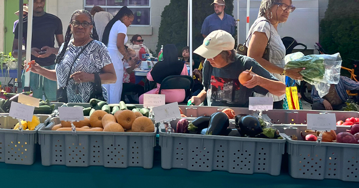 Lansdowne Farmers Market returns for its 19th season in May
