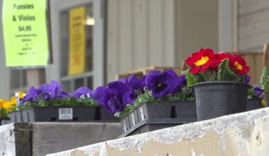 Wild temperature swings delay seasonal planting in south-central Pennsylvania