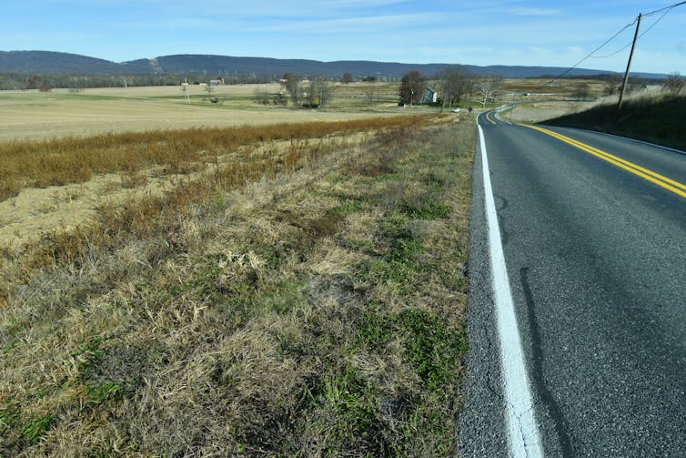 A stretch of grassland alongside and empty road