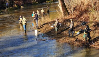 Here's what you need to know for the opening of trout season