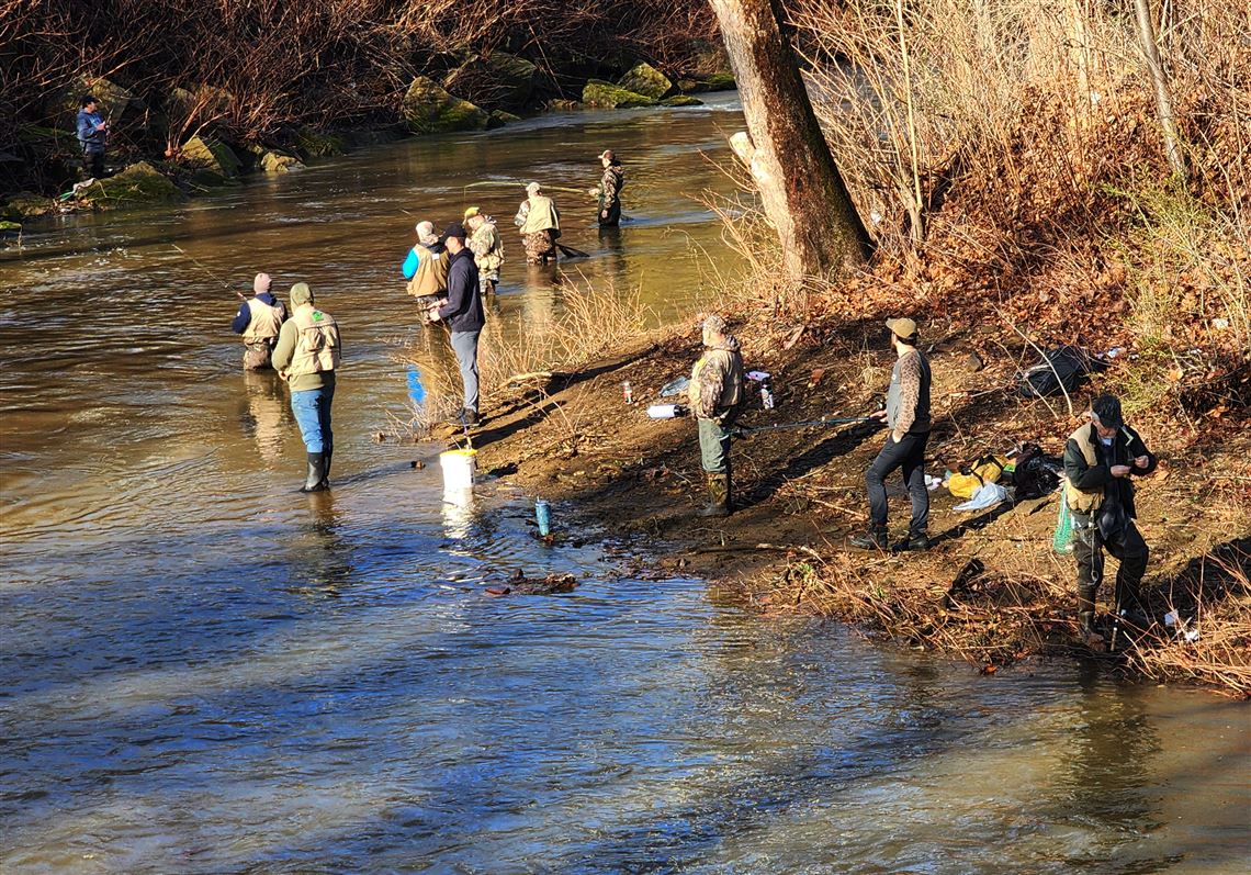 Here's what you need to know for the opening of trout season