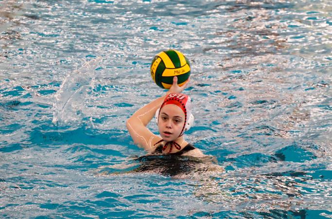 Sweeping Success in Erie - Saint Francis University Athletics