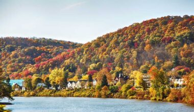 Pennsylvania lawmaker advocates for tree replacement bill