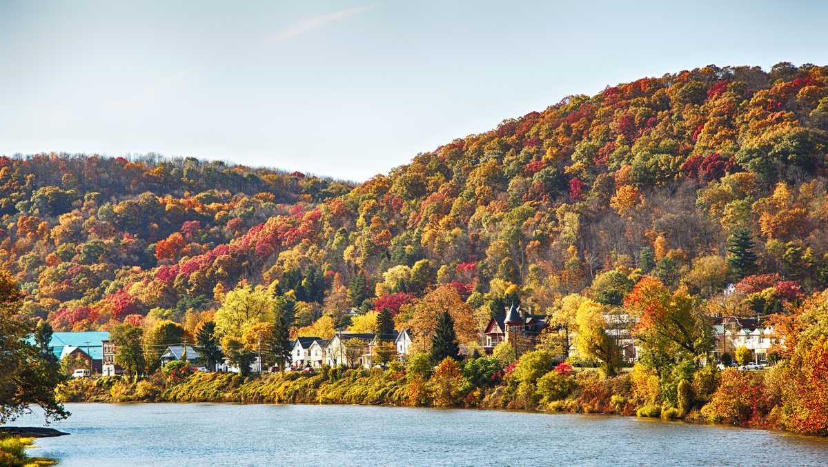 Pennsylvania lawmaker advocates for tree replacement bill