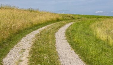 Pa. lawmaker aims to reduce speed limit on dirt roads