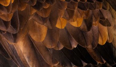 First baby eagle of 2026 hatches at U.S. Steel Irvin Plant nest