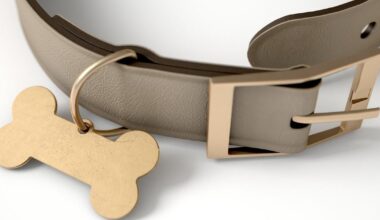 Deceased yellow Labrador retriever found in ditch in Armstrong County