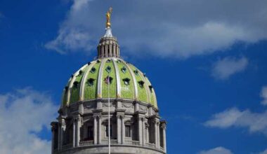 Pa. lawmakers consider bill that would allow castration as punishment for convicted child sex offenders