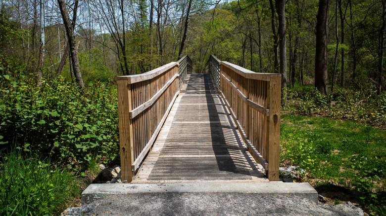 A wooden bridge passing trees and grass in Montour Woods Conservation Area.
