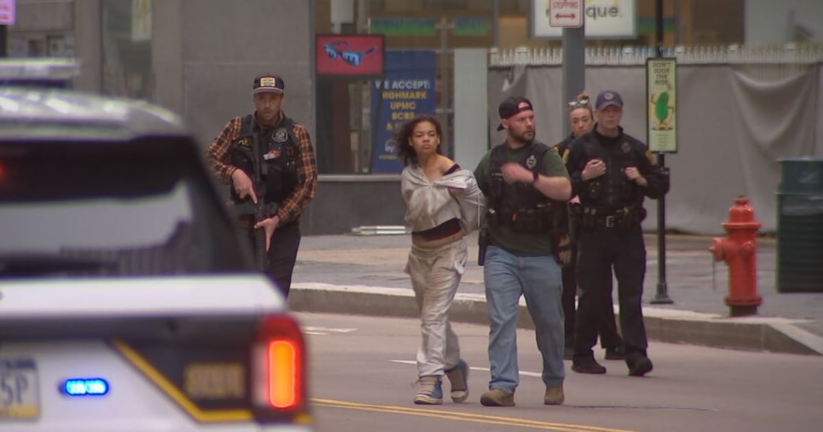 3 Western Pennsylvania residents indicted in winter crime spree, officials say – WPXI