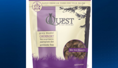 Freeze-dried, frozen cat food sold in Pennsylvania recalled over possible low thiamine levels – WPXI