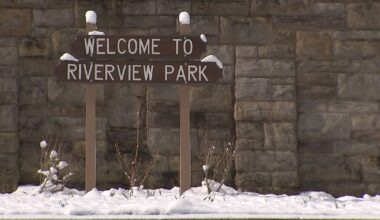 Man accused of exposing himself to women at local park