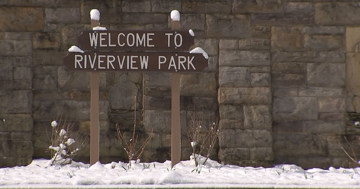 Man accused of exposing himself to women at local park