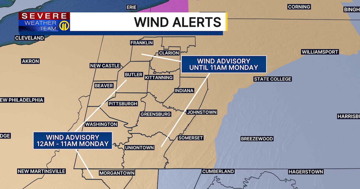 Wind Advisory going into effect overnight for much of the area – WPXI