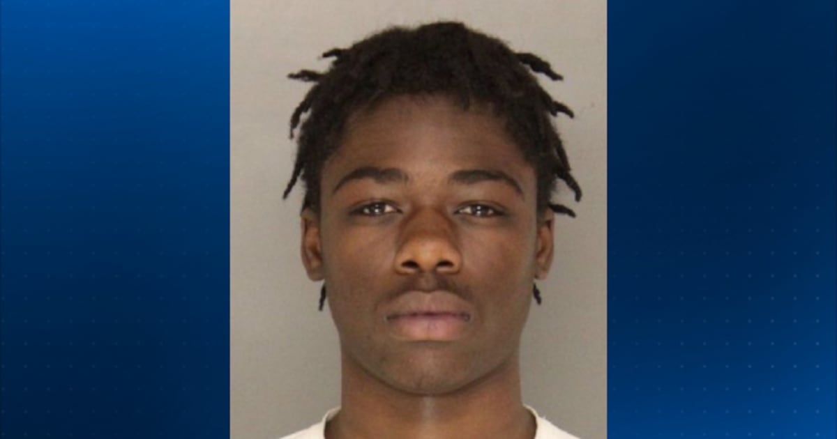 Teen charged in deadly Stowe Township shooting in 2023 found ‘not guilty’