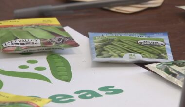 Pittsburgh gardeners prepare for planting season at annual seed swap – WPXI