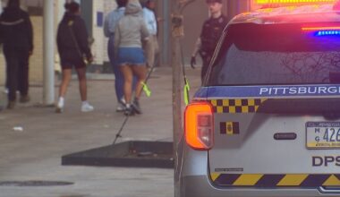 Crowd of juveniles fighting in Market Square leads to pepper spray use, 3 taken into custody: police – WPXI