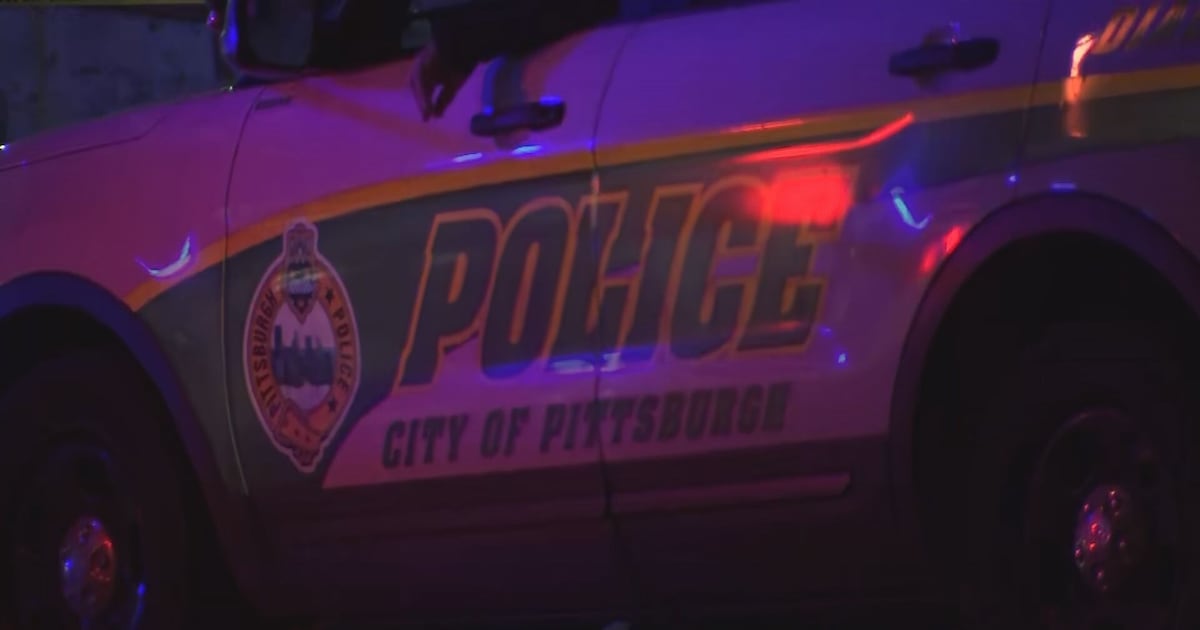 Pittsburgh Police investigate report of man parachuting off building