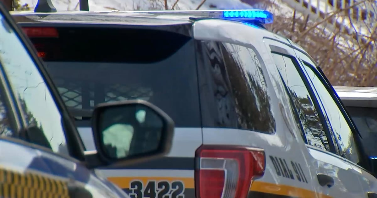 FOP president calls for answers from City of Pittsburgh after ICE incident bodycam videos released – WPXI