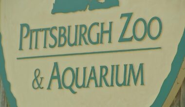 Planned water main work causes Pittsburgh Zoo to close on Wednesday – WPXI