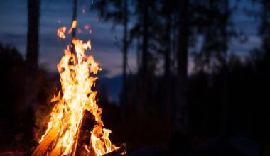 Open burning, campfires not allowed in Pennsylvania state forests through May – WPXI
