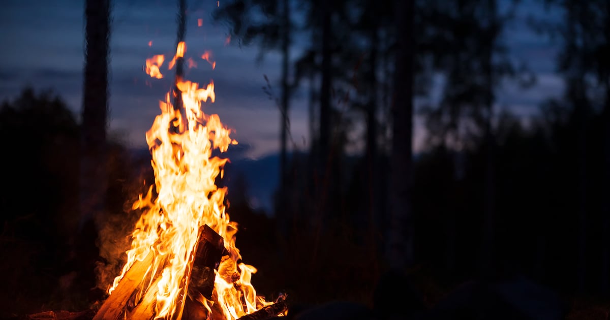 Open burning, campfires not allowed in Pennsylvania state forests through May – WPXI
