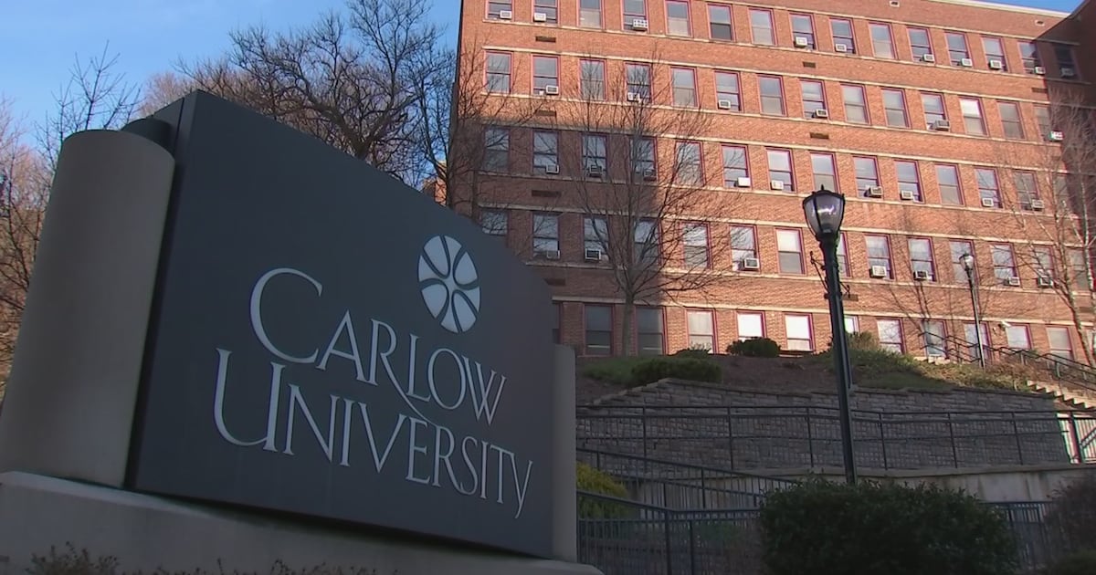 Chatham University awarded $20K grant to combat student food insecurity – WPXI