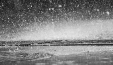 Wet weather overnight, foggy start to Wednesday