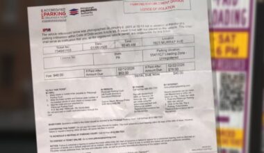 Woman recieves ticket from Pittsburgh parking authority, despite avoiding purple curb, paying on app