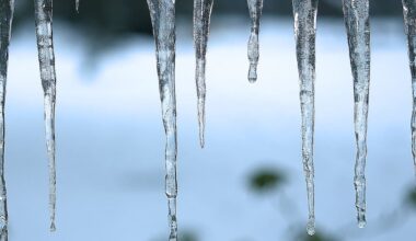 Chilly temperatures at start of Wednesday