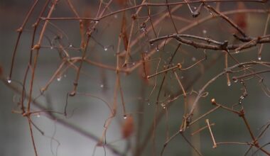 Chilly start to Saturday before sunshine arrives